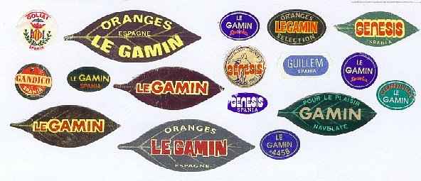 etiquettes G